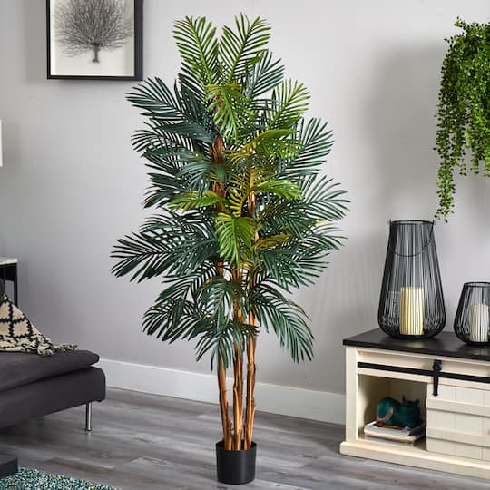 6ft. Potted Robellini Palm Tree